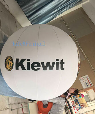 Opblaasbare ballon met aangepast logo voor evenementen, branding, reclame en promoties
